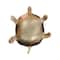 Turtle Decorative Bowl by Ashland®